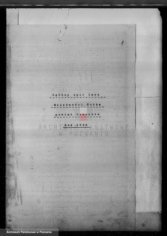 Obraz 5 z jednostki "/Nadzór nad gospodarką leśną w majętności Hutka w powiecie czarnkowskim"