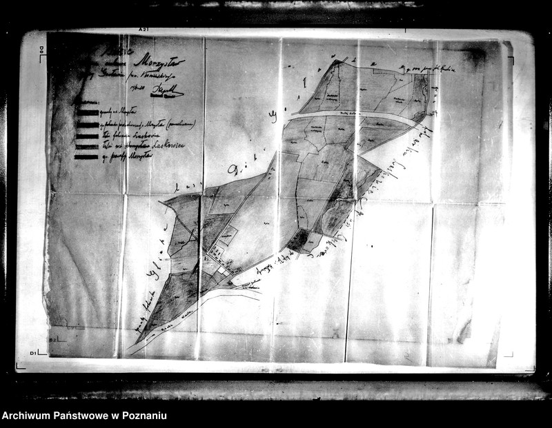 image.from.unit.number "/Rejestry pomiarowo-szacunkowe i klasyfikacyjne wsi Morzysław powiatu konińskiego"
