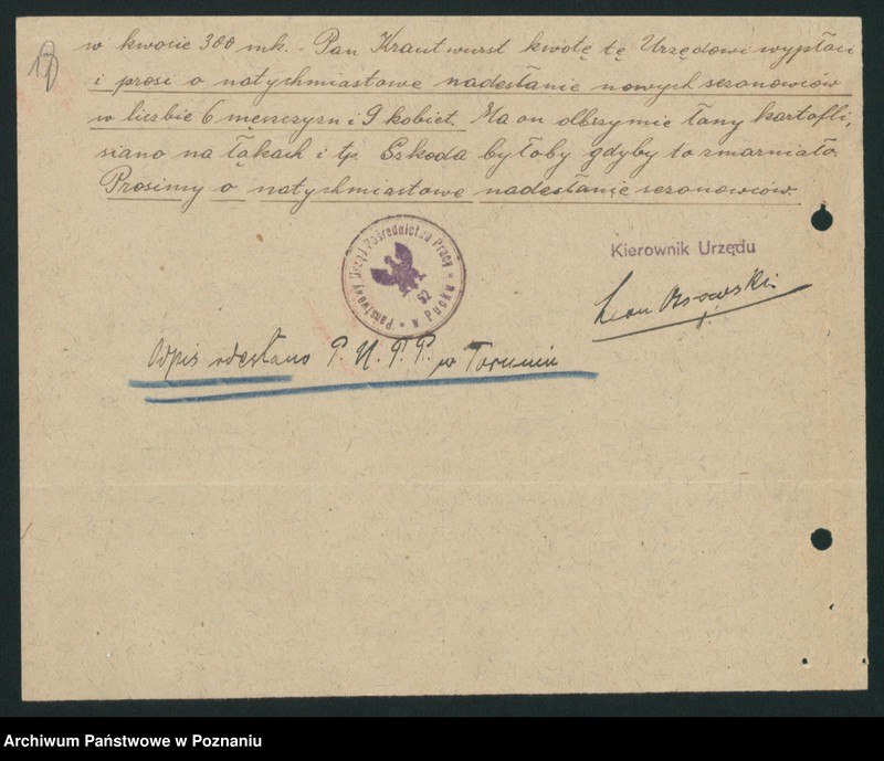 Obraz 19 z jednostki "[Robotnicy sezonowi zatrudnieni w rolnictwie]"