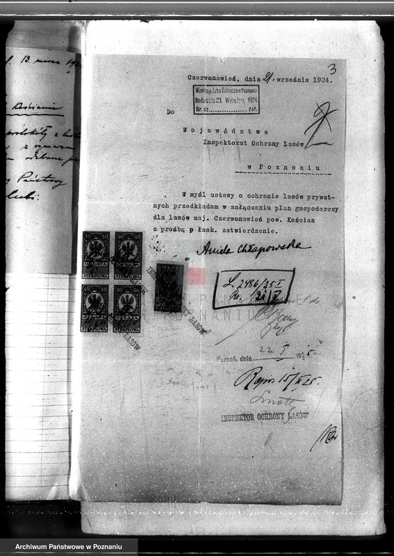 Obraz 7 z jednostki "Nadzór nad gospodarką w lasach majętności Czerwona-Wieś powiat kościański"