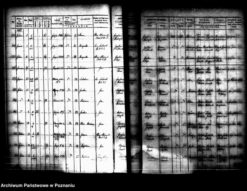 Obraz 15 z jednostki "Księga urodzin"