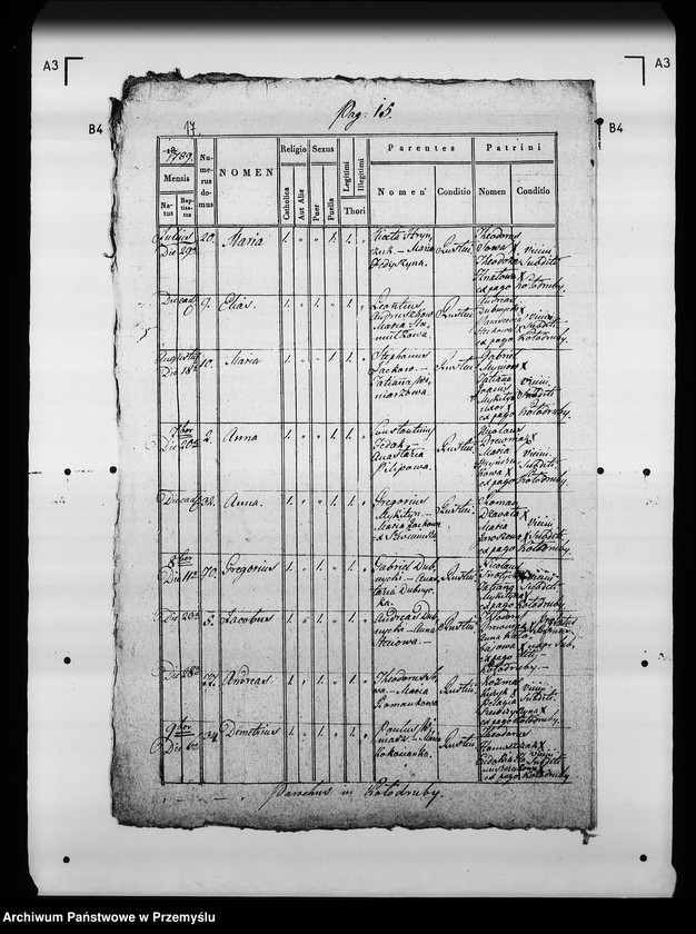 Obraz 20 z jednostki "[Kopie ksiąg metrykalnych parafii Kołodruby (dekanat Komarno)]"