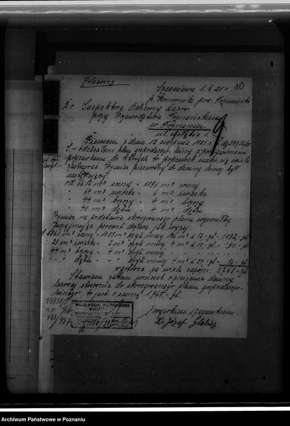 Obraz 14 z jednostki "Nadzór nad gospodarką w lasach majątku Szreniawa powiat poznański"