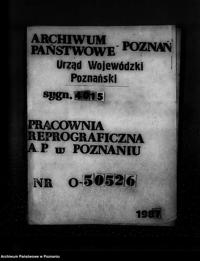 Obraz 1 z jednostki "Majętność leśna Wolsztyn powiat Wolsztyn"