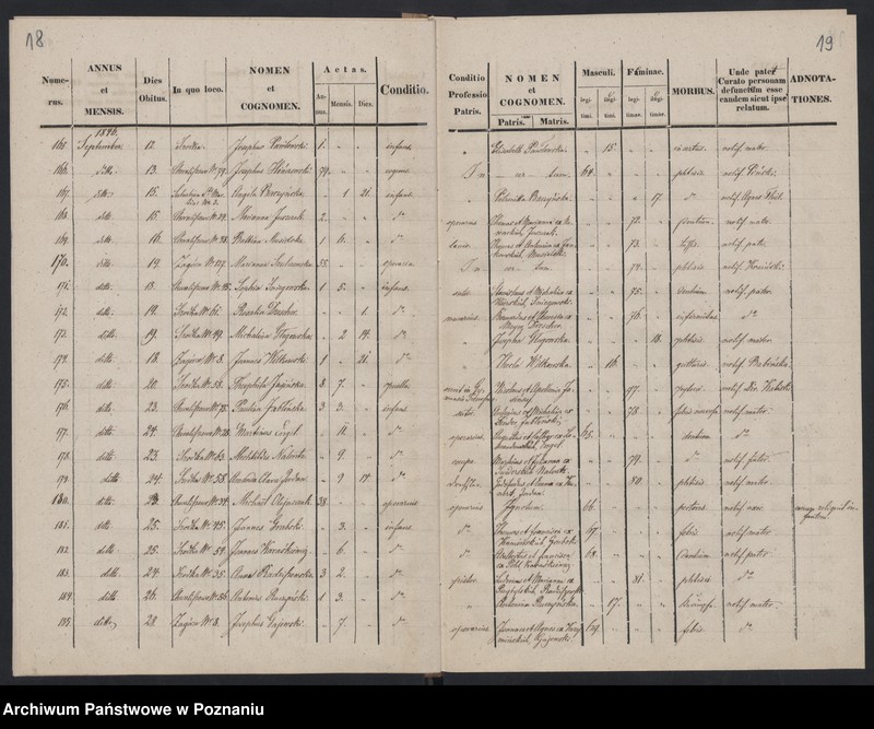 Obraz 12 z jednostki "Księga zgonów"