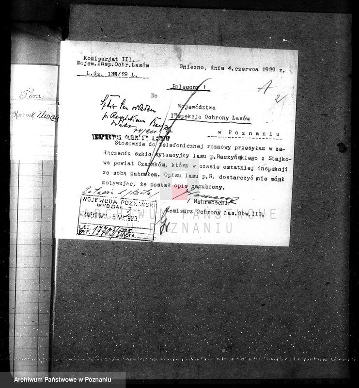 Obraz 7 z jednostki "Nadzór nad gospodarką leśną w lasach majętności Stajkowo powiecie czarnkowskim"