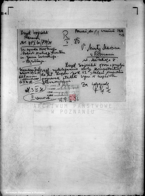 Obraz 20 z jednostki "/Towarzystwo Ogrodu Działkowego i Hodowli Drobnego Inwentarza im. J. Sobieskiego w Poznaniu/"