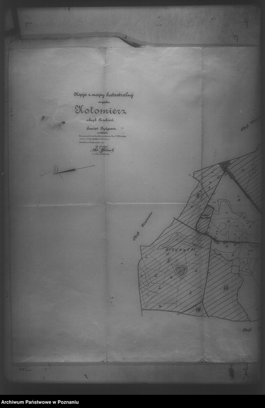 Obraz 8 z jednostki "/Mapy majętności Kotomierz powiatu bydgoskiego/"
