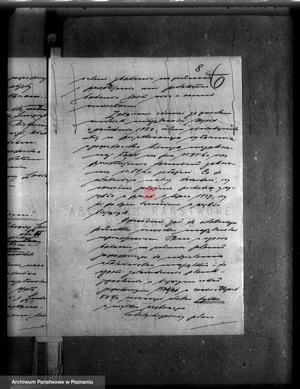 Obraz 12 z jednostki "Nadzór nad gospodarką w lasach majątku Ujazd powiat kościański"