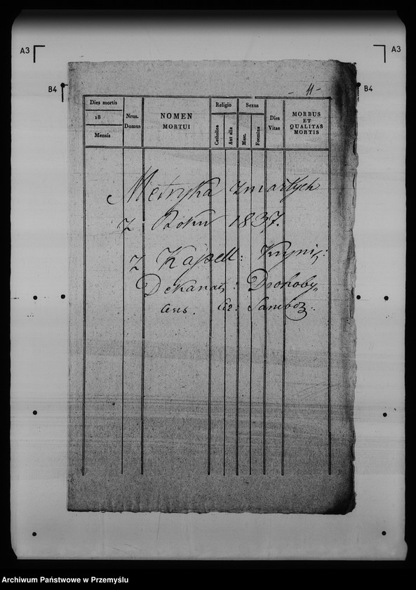 Obraz 15 z jednostki "[Kopie ksiąg metrykalnych parafii Krynica (dekanat Medenice)]"