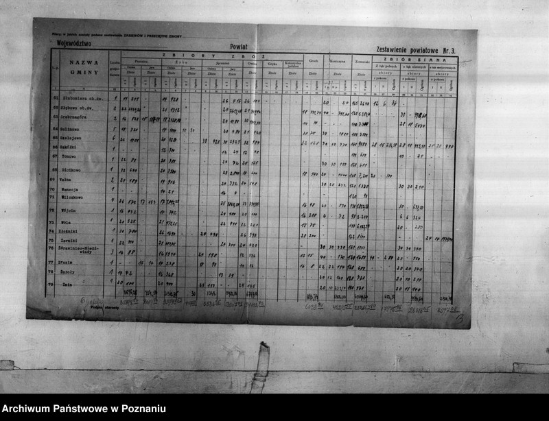 Obraz 8 z jednostki "Statystyka produkcji rolnej - zestawienie z powiatu żnińskiego"
