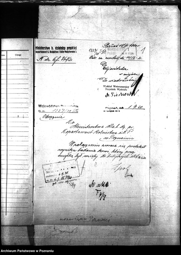 Obraz 5 z jednostki "Nosacizna - Poznań Miasto"