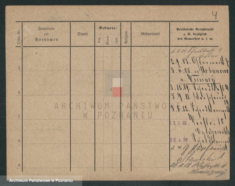 Obraz 10 z jednostki "Stawczyński - Stebner"