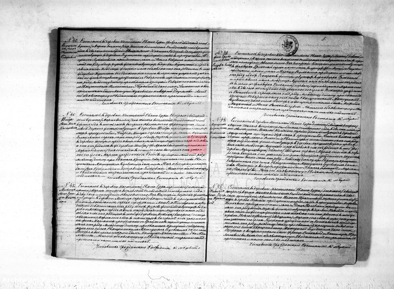image.from.unit.number "Kniga duplikat o rodivšichsja, brakosočetavšichsja i smerti Sveto-Jezerskago prichoda s 1874 goda"