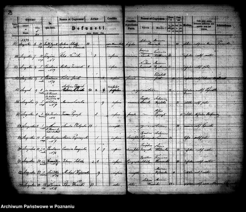 Obraz 16 z jednostki "Księga zgonów"