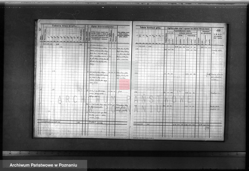 image.from.unit.number "Plan urządzenia gospodarstwa leśnego dla lasu majątku Lubosz powiatu międzychodzkiego 1936-1946"