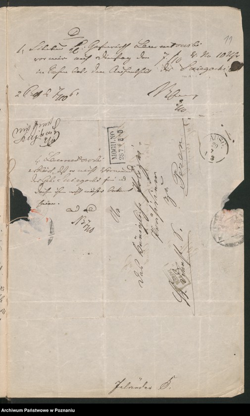 Obraz 15 z jednostki "A. betr. die Familie von Śmiegocki /Michael, Stanislaus und Anton/"