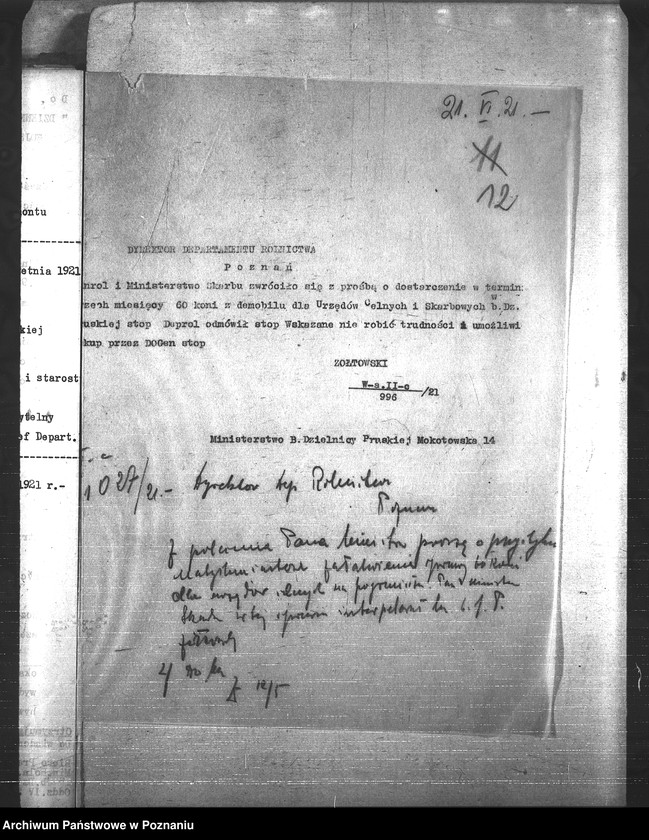 Obraz 16 z jednostki "Konie"