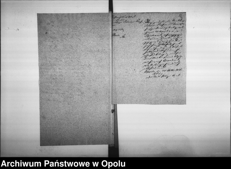 Obraz 15 z jednostki "Acta des Magistrats zu Oppeln betreffend Ertheilung von Geburts pp. Attesten für Juden"