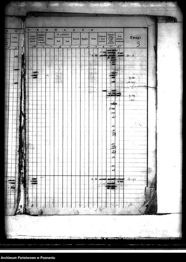 Obraz 7 z jednostki "/Rejestr pomiarowy dóbr Szczytniki powiat kaliski"