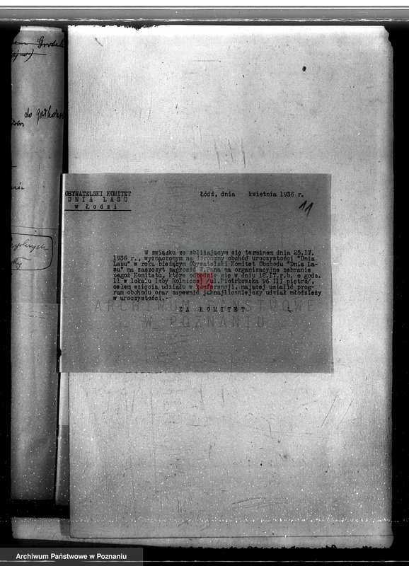 Obraz 14 z jednostki "Sprawa pojawienia się borecznika w lasach majątku Dąbia powiatu kolskiego"