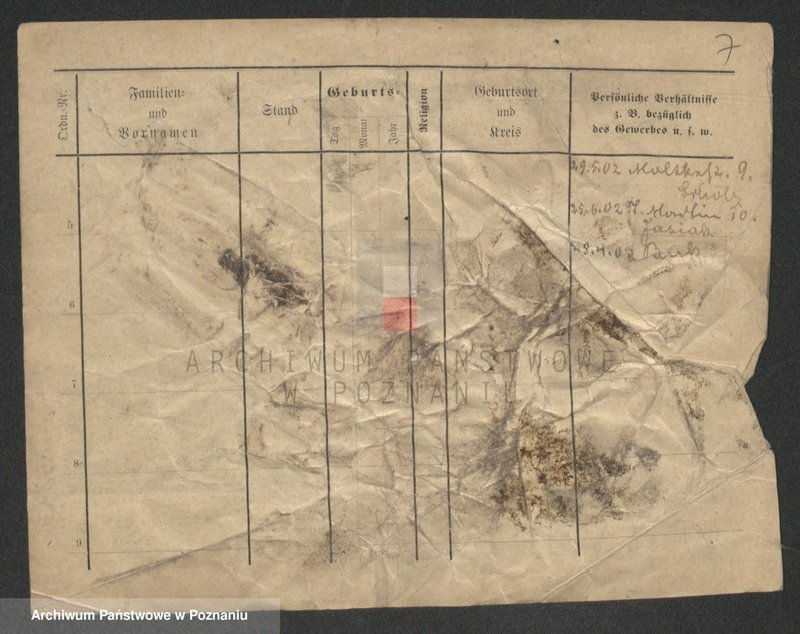 Obraz 7 z jednostki "Jaczyński - Jajuge"