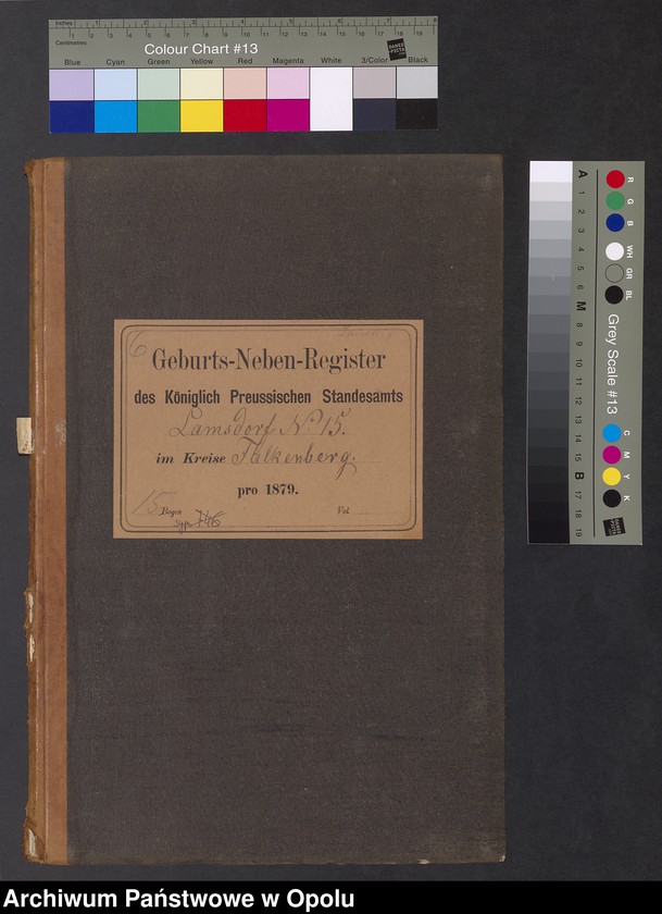 image.from.unit.number "Geburts-Neben-Register des Standesamts Lamsdorf No 15 pro 1879"