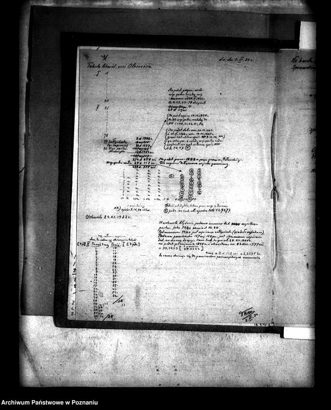 Obraz 12 z jednostki "Podział wspólnego pastwiska wsi Oleśnica powiatu konińskiego"