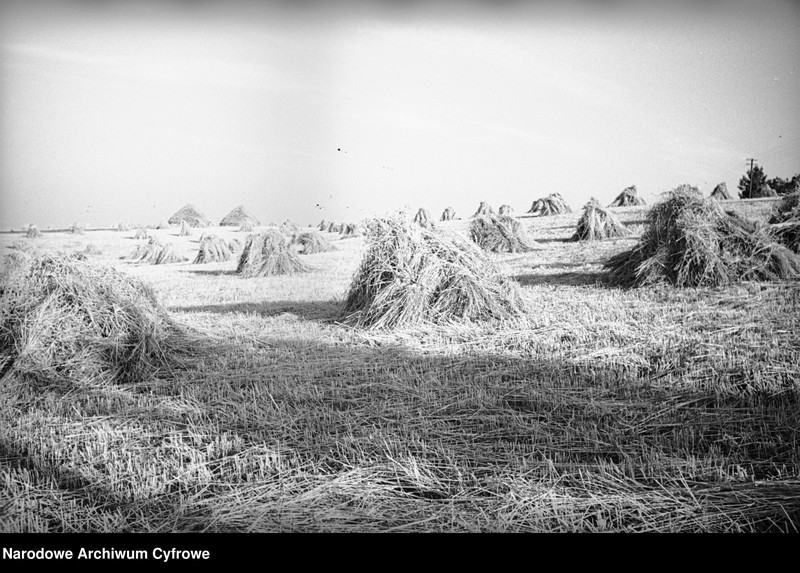 image.from.unit.number "Służewo w województwie pomorskim"