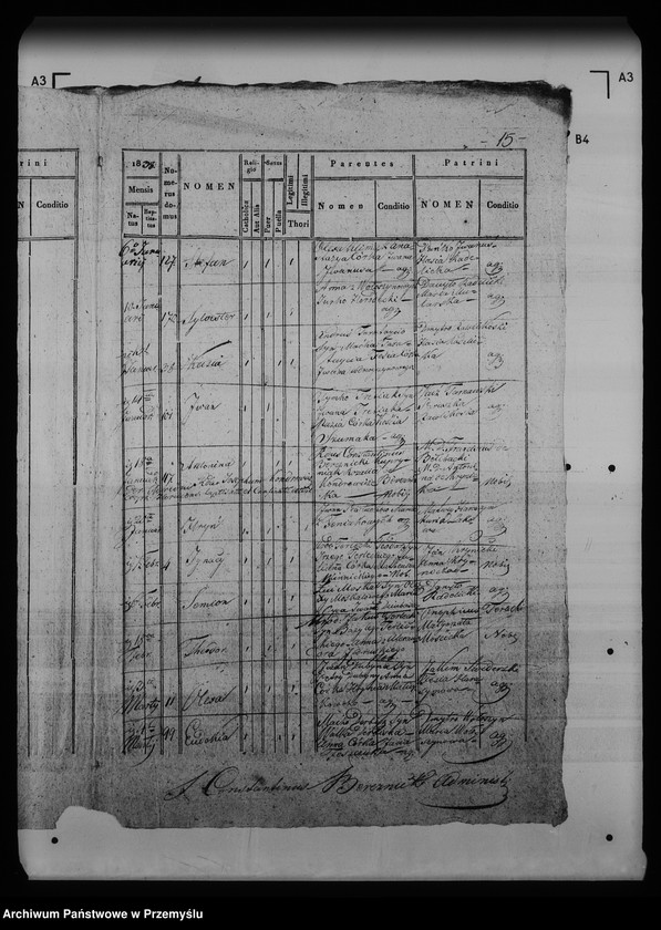 Obraz 19 z jednostki "[Kopie ksiąg metrykalnych parafii Krynica (dekanat Medenice)]"