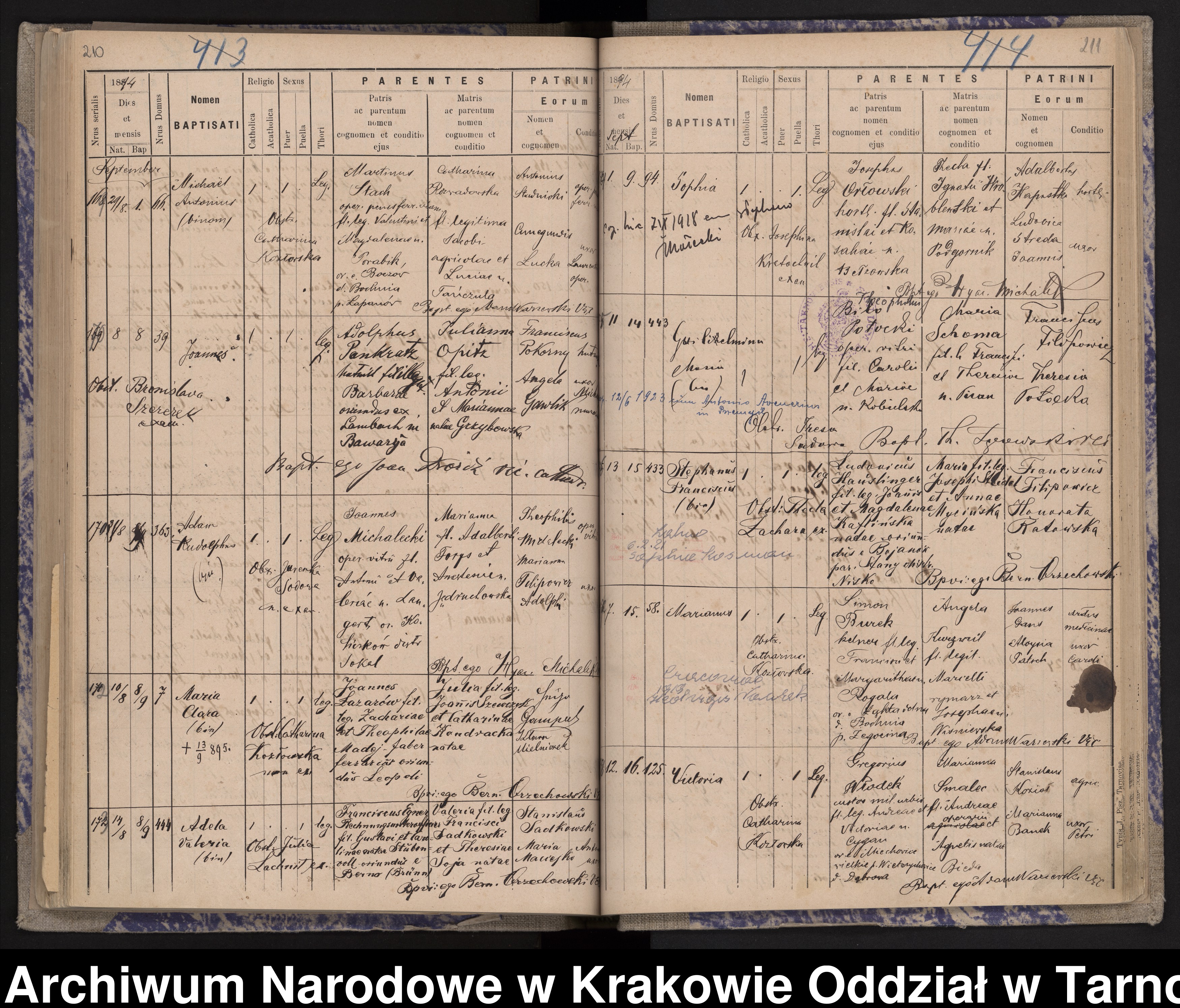 Skan z jednostki: Księga urodzeń Strusina