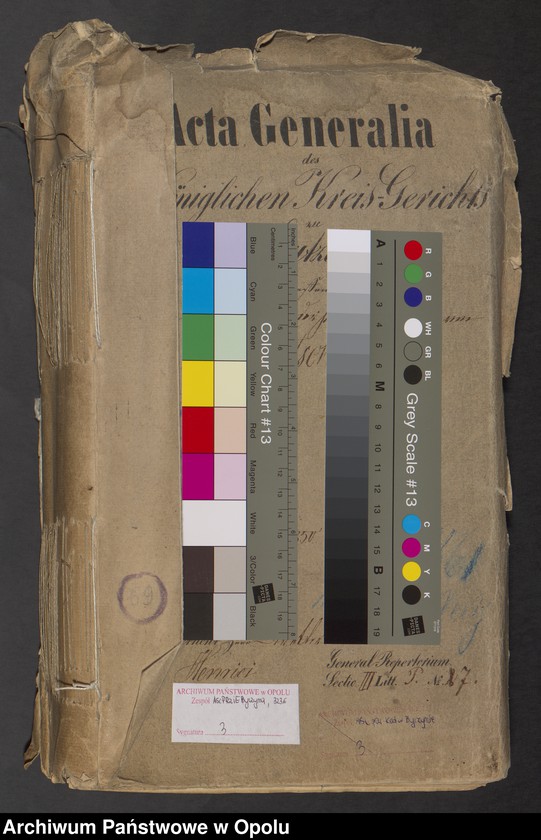 image.from.unit.number "Die Duplikate der Kirchenbücher von Pitschen evgl. [evangelisch] 1849-1861 kath. [katholisch] 1850-1861"