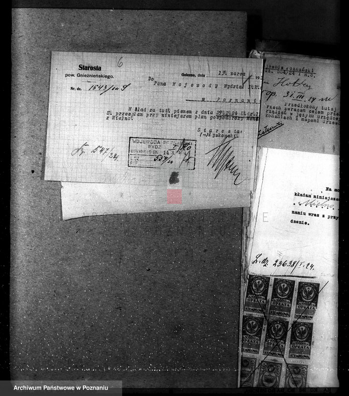 Obraz 10 z jednostki "Majętność leśna w Mielnie w powiecie gnieźnieńskim"