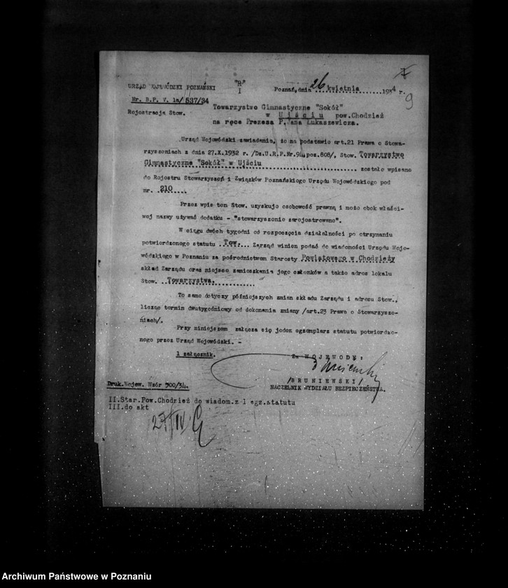 Obraz 13 z jednostki "/Towarzystwo Gimnastyczne Sokół w Ujściu powiat Chodzież - rejestracja/"