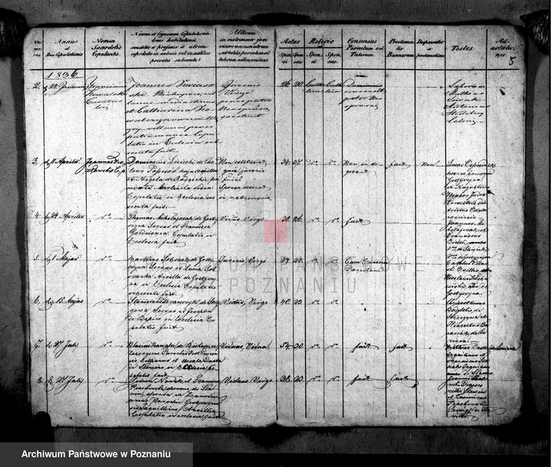 image.from.unit.number "Metrices copulatorum"
