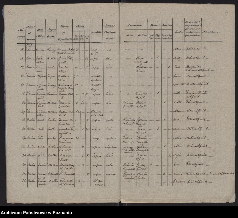 Obraz 4 z jednostki "Księga zgonów"