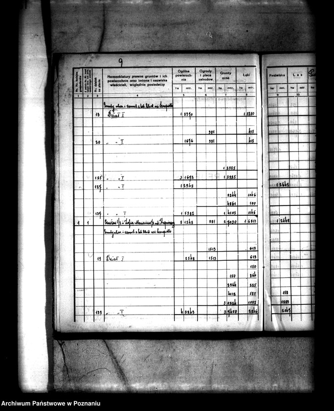 Obraz 13 z jednostki "Rejestr pomiarowy wsi Szczepidło powiatu konińskiego"