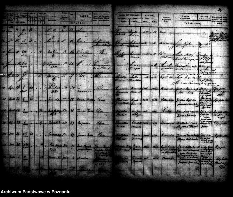 Obraz 14 z jednostki "Księga urodzin"