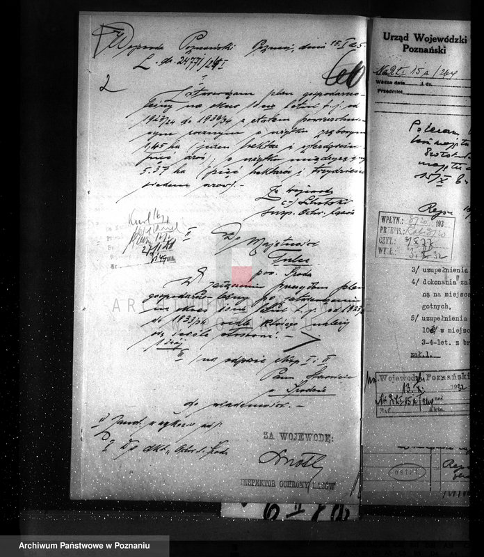 Obraz 6 z jednostki "Nadzór nad gospodarką w lasach majętności Tulce powiat średzki"