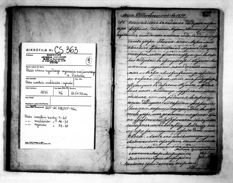 image.from.unit.number "Duplikat Aktov o roždenii, brakosočetanii i smerti Evrejskago Ispovedanîja Punskago okruga na 1875 god"