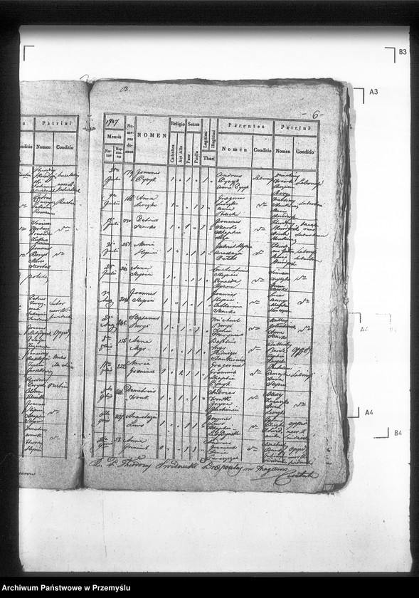 Obraz 10 z jednostki "[Kopie ksiąg metrykalnych parafii Magierów z filią Horodzów (dekanat Niemirów)]"