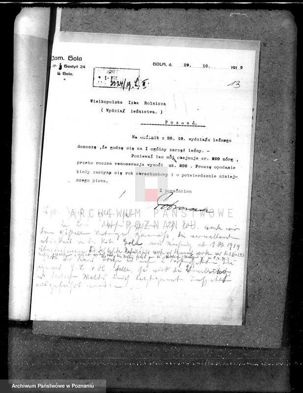 Obraz 16 z jednostki "Majętność leśna Gola w powiecie gostyńskim"