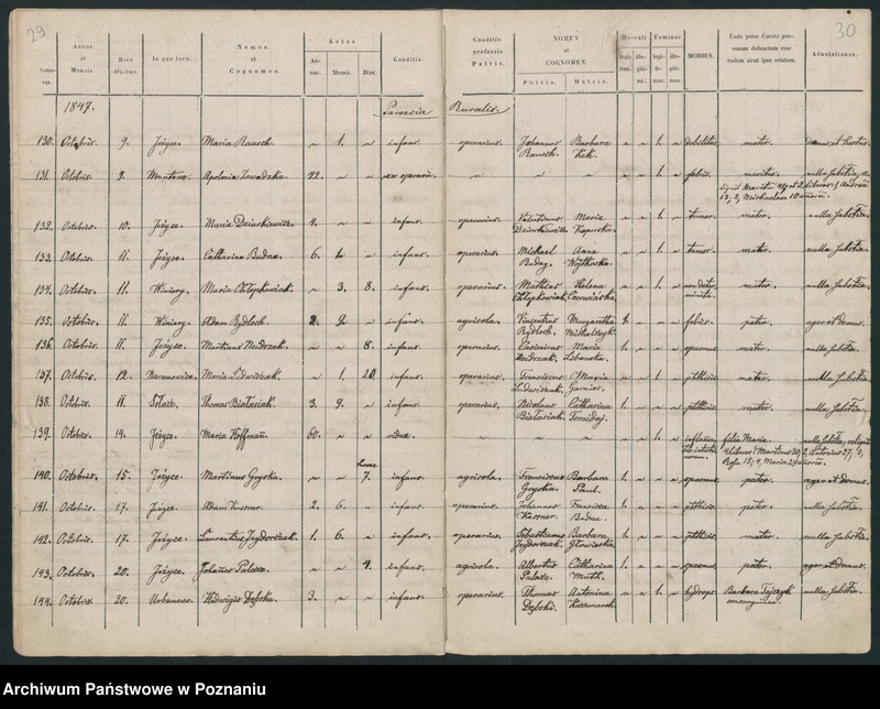 Obraz 17 z jednostki "Księga zgonów"
