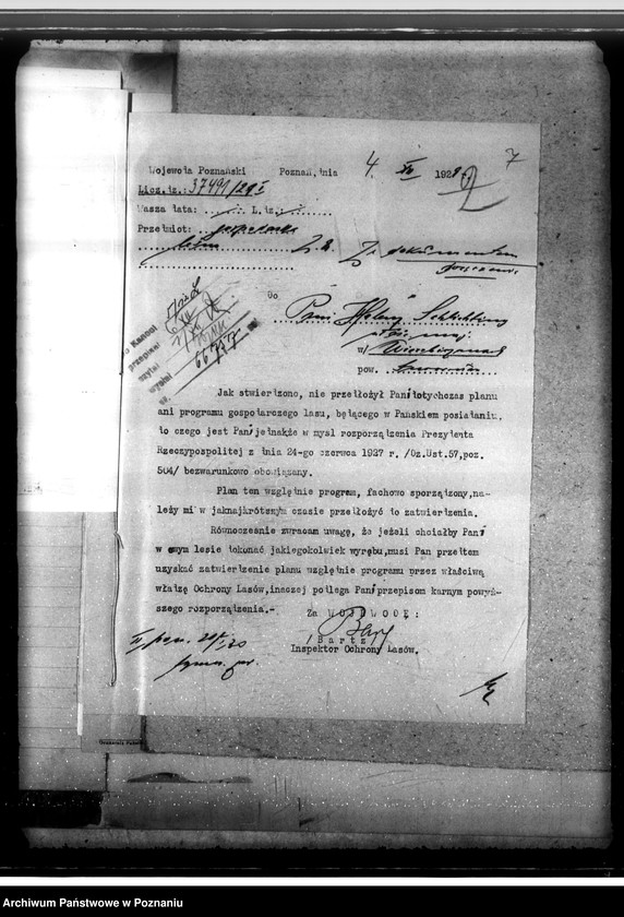 Obraz 11 z jednostki "Las majętności Wierzbiczany w powiecie inowrocławskim"