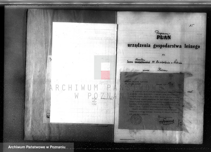 Obraz 19 z jednostki "Program urządzania gospodarstwa leśnego dla lasu klasztoru O.O Benedyktynów w Lubiniu powiat kościański"