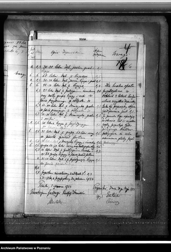 Obraz 10 z jednostki "Las fundacyjny Bodzewo w powiecie gostyńskim"