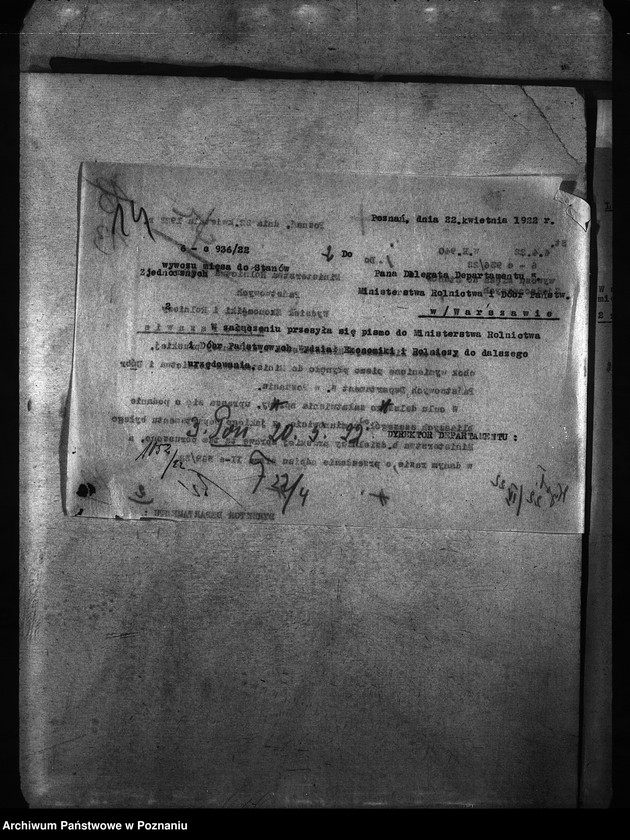 Obraz 18 z jednostki "Obrót mięsem"