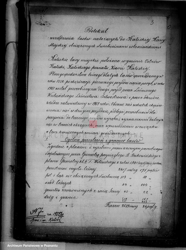 Obraz 6 z jednostki "/Las miasta Kalisza nadzór nad gospodarką/"