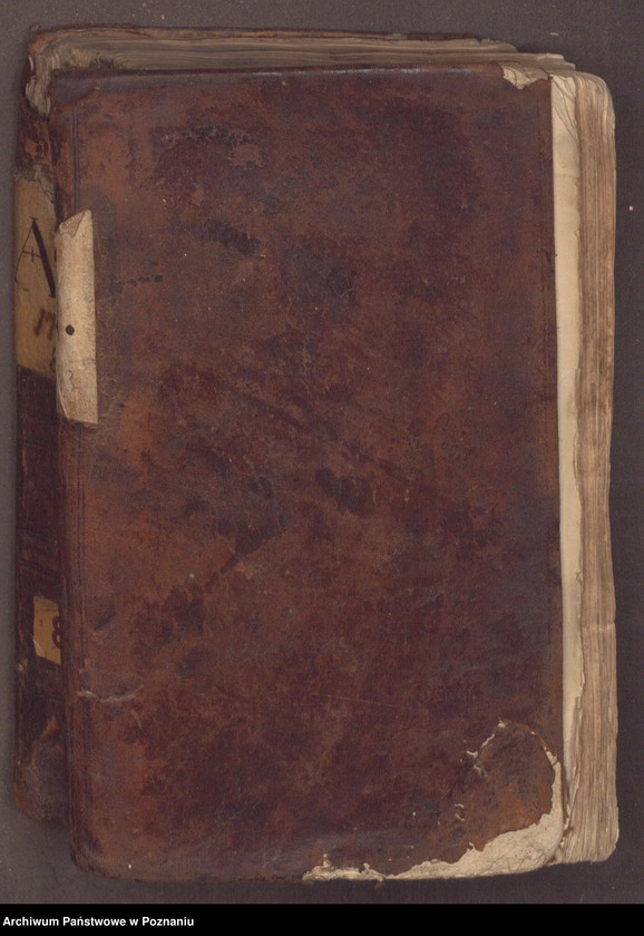 Obraz 2 z jednostki "Liber actorum officii consularis civitatis Posnaniae."