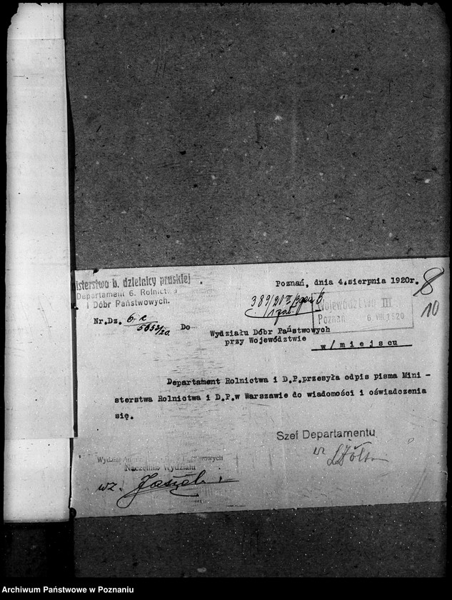 Obraz 14 z jednostki "Nieużytki rolne"